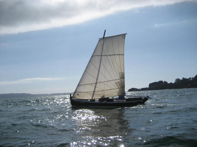 xvi regata de vela tradicional 05