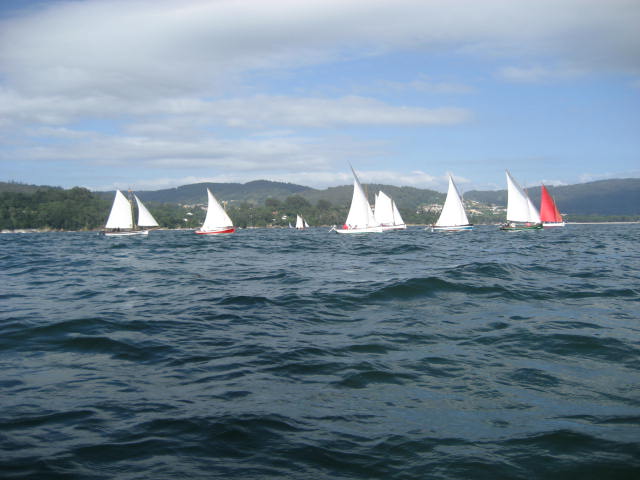 xvi regata de vela tradicional 08