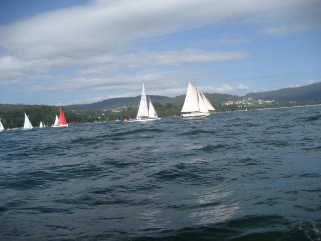 xvi regata de vela tradicional 09