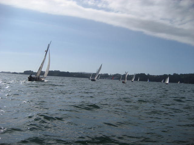 xvi regata de vela tradicional 12