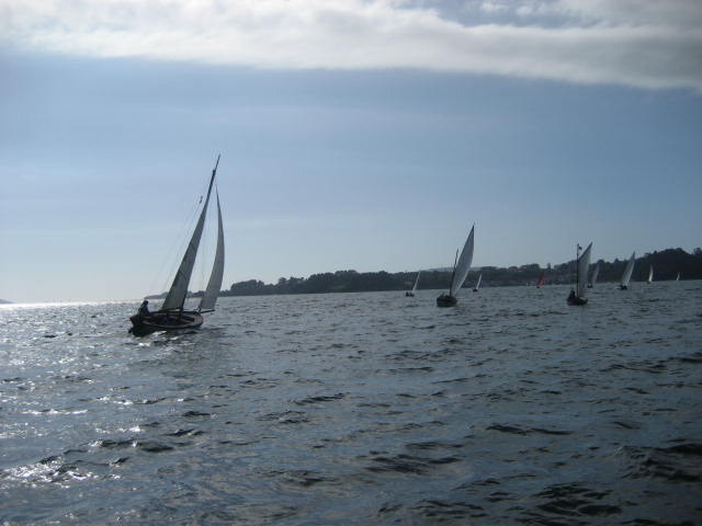 xvi regata de vela tradicional 13