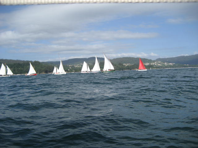 xvi regata de vela tradicional 14