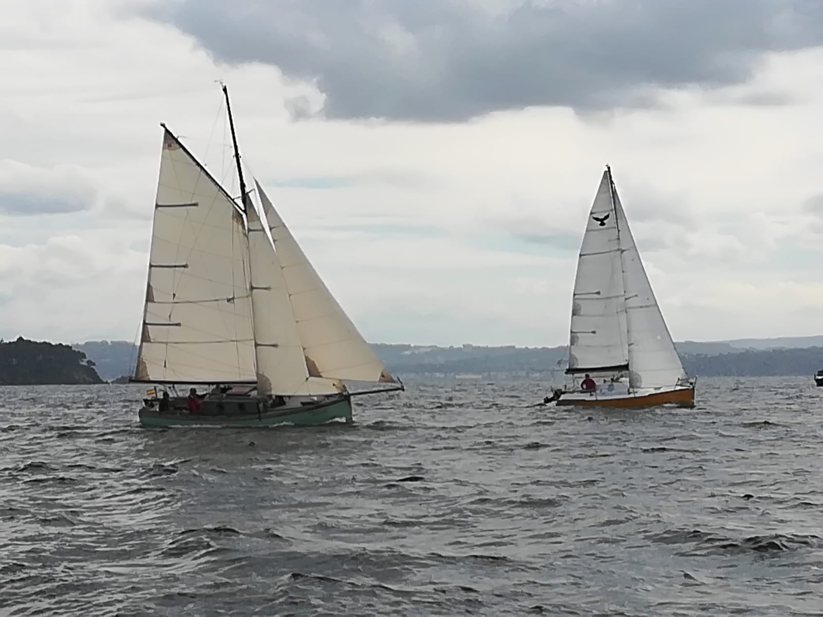 xvi regata de vela tradicional 17
