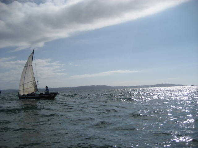 xvi regata de vela tradicional 19