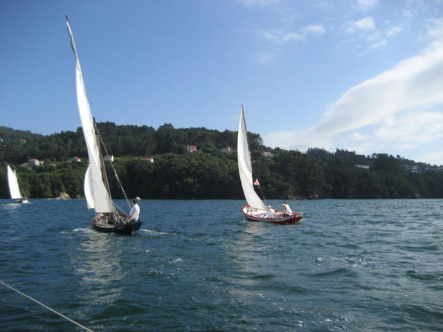 xvi regata de vela tradicional 21