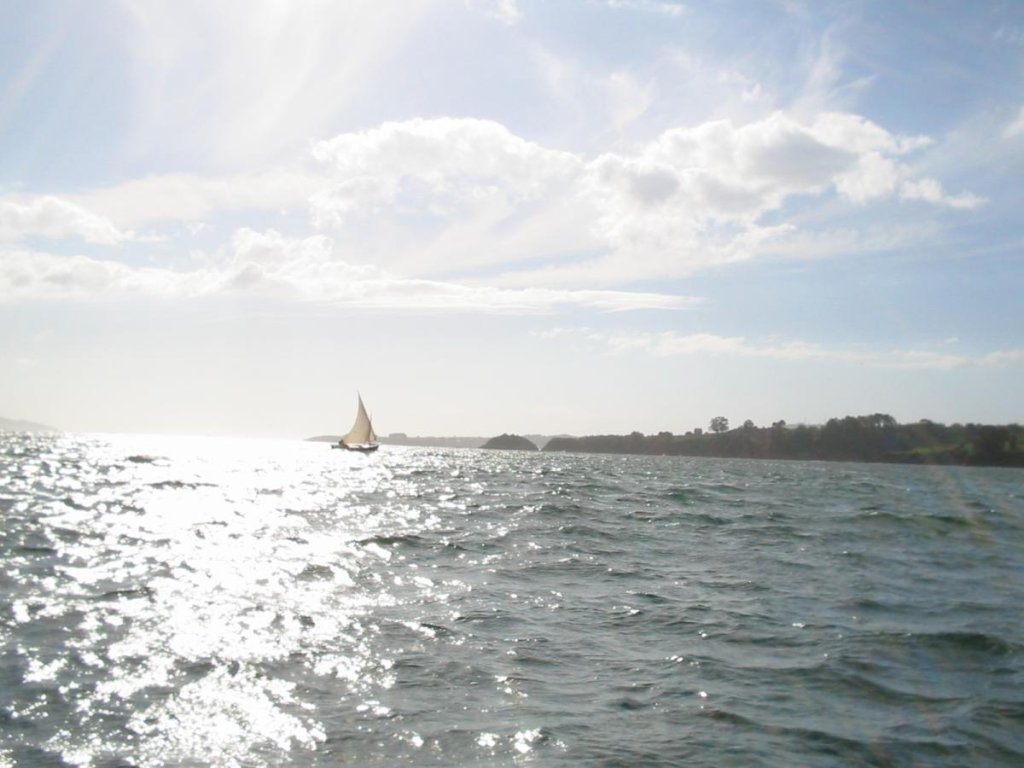 I Regata Vela Tradicional 2003 137