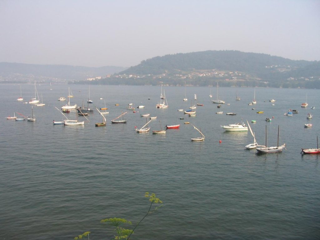 II Regata Vela Tradicional 2004 036