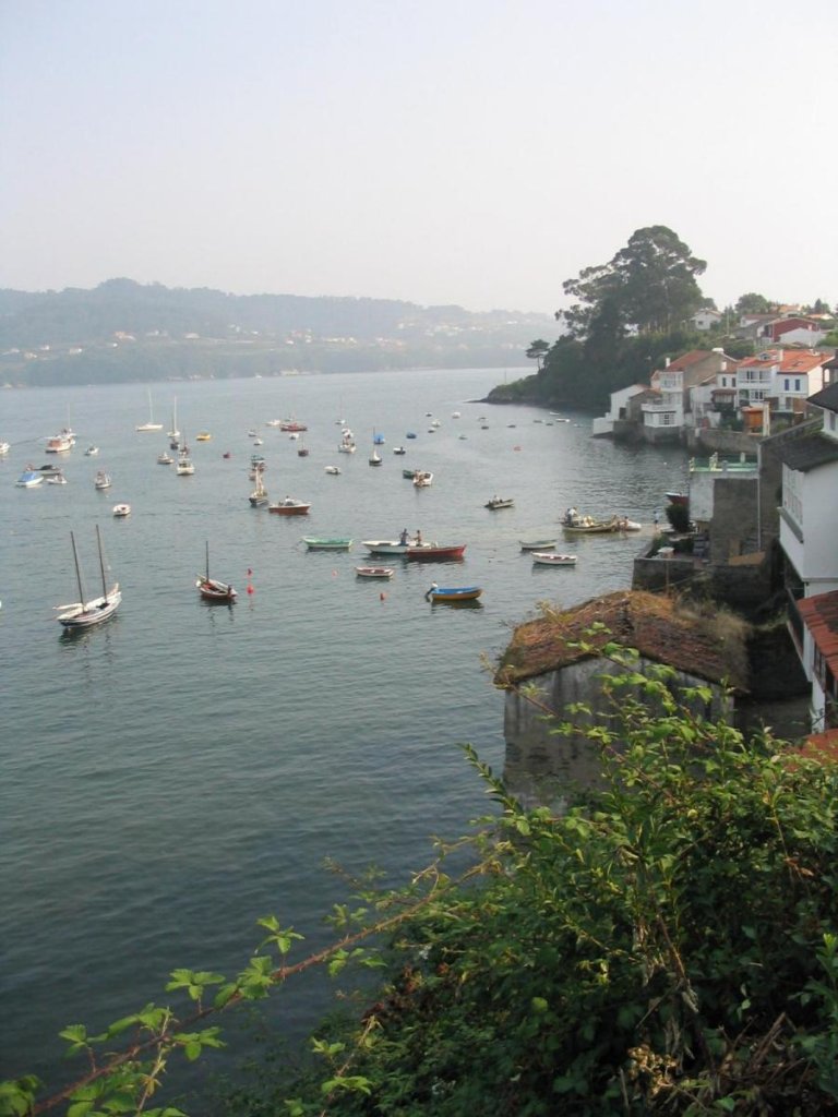 II Regata Vela Tradicional 2004 041