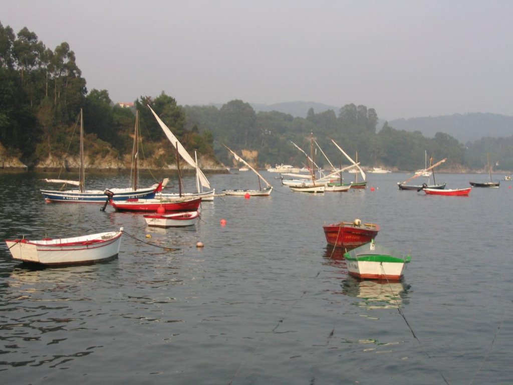 II Regata Vela Tradicional 2004 045