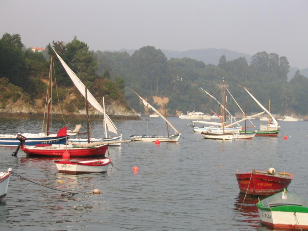 II Regata Vela Tradicional 2004 046