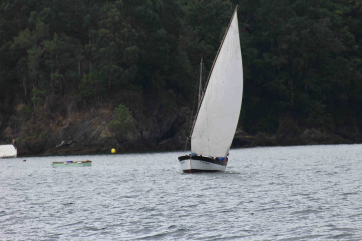 XX Regata De Vela Tradicional 2023 014