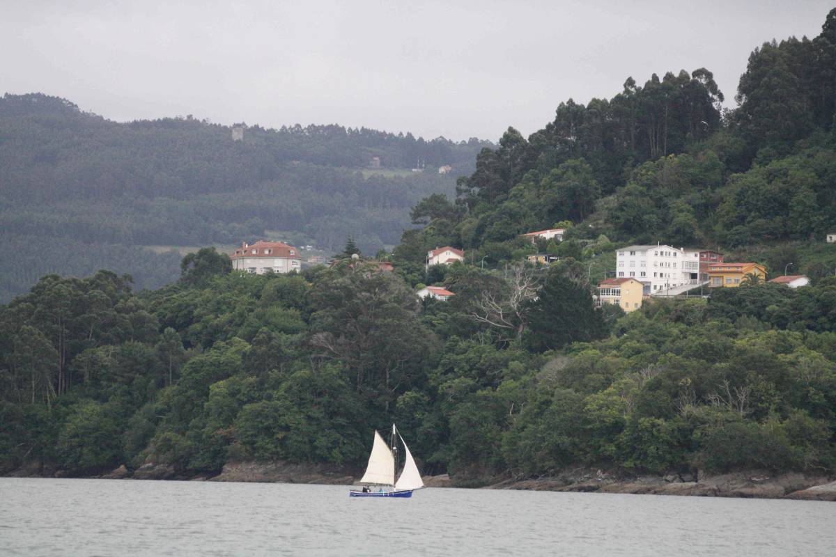 XX Regata De Vela Tradicional 2023 218