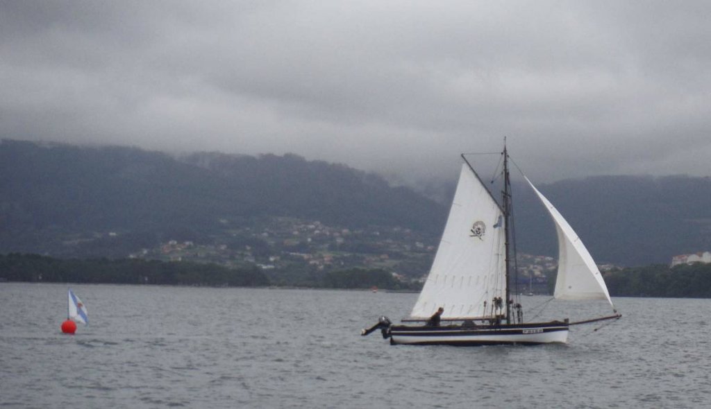 50 vela tradicional2024