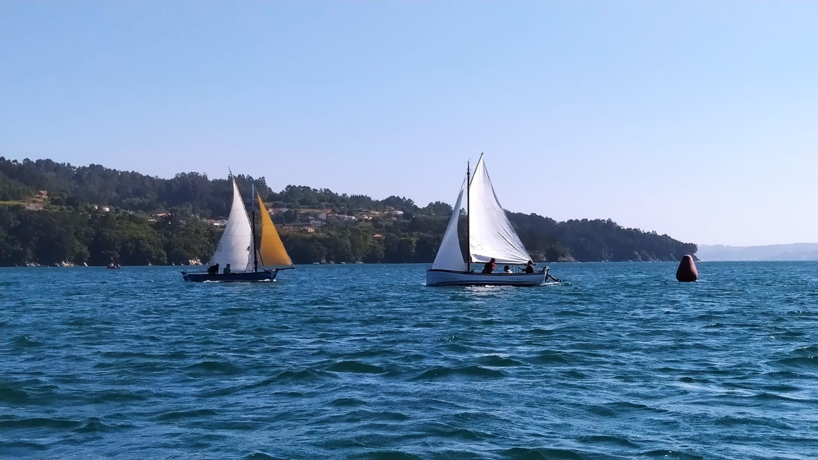 Vela Tradicional 2025 05