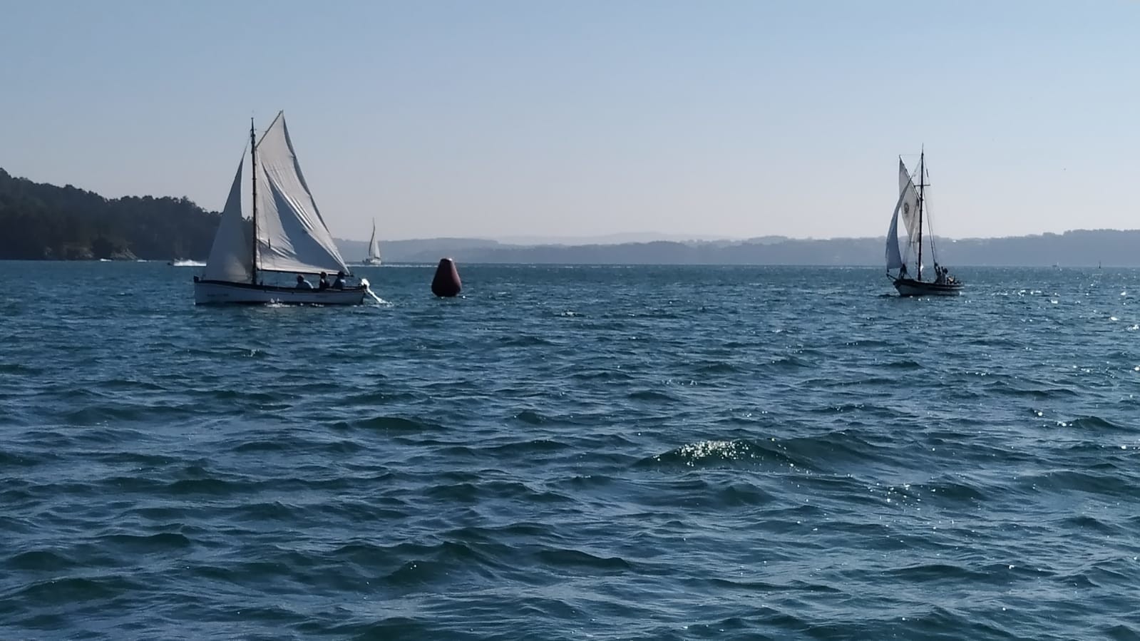 Vela Tradicional 2025 08