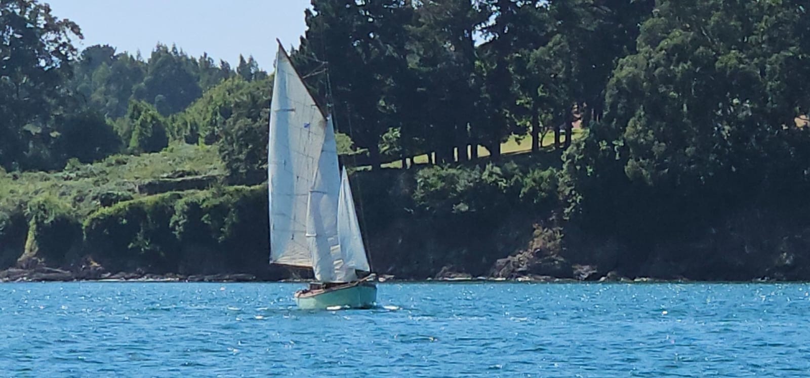 Vela Tradicional 2025 10