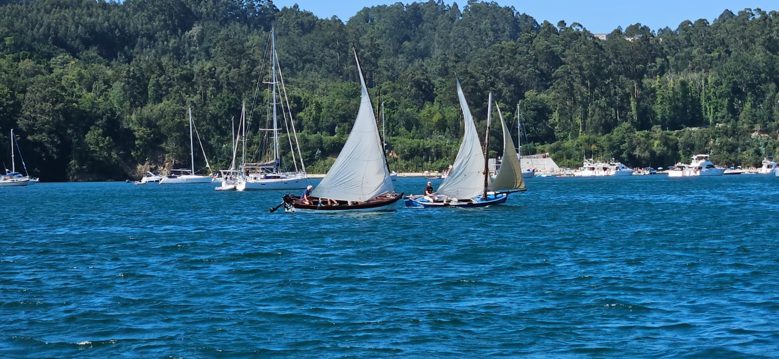 Vela Tradicional 2025 17