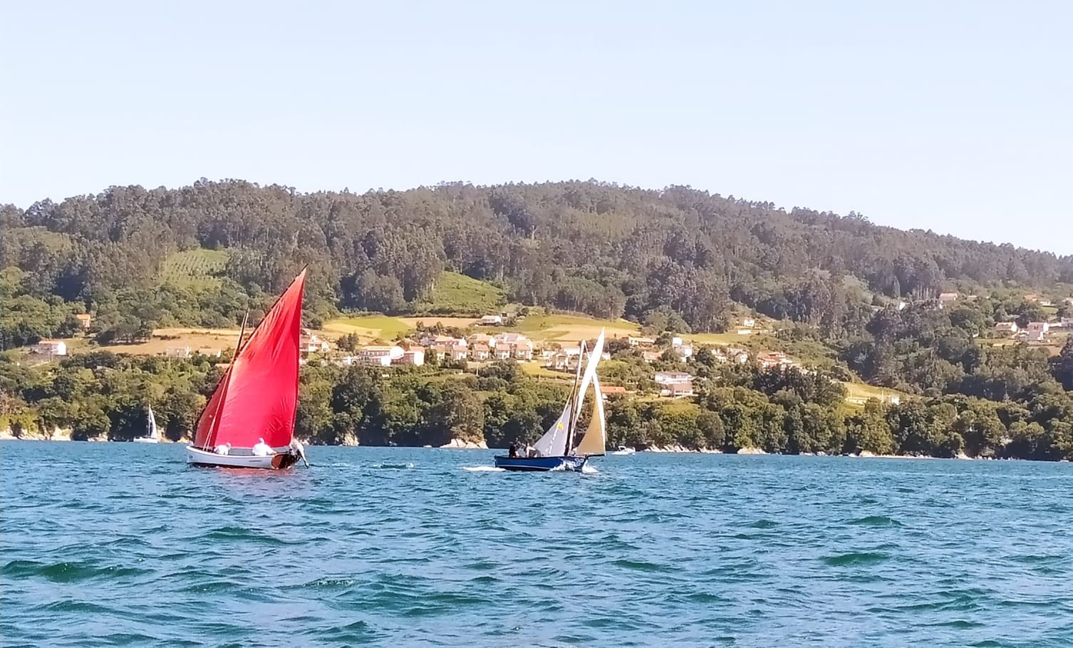 Vela Tradicional 2025 20