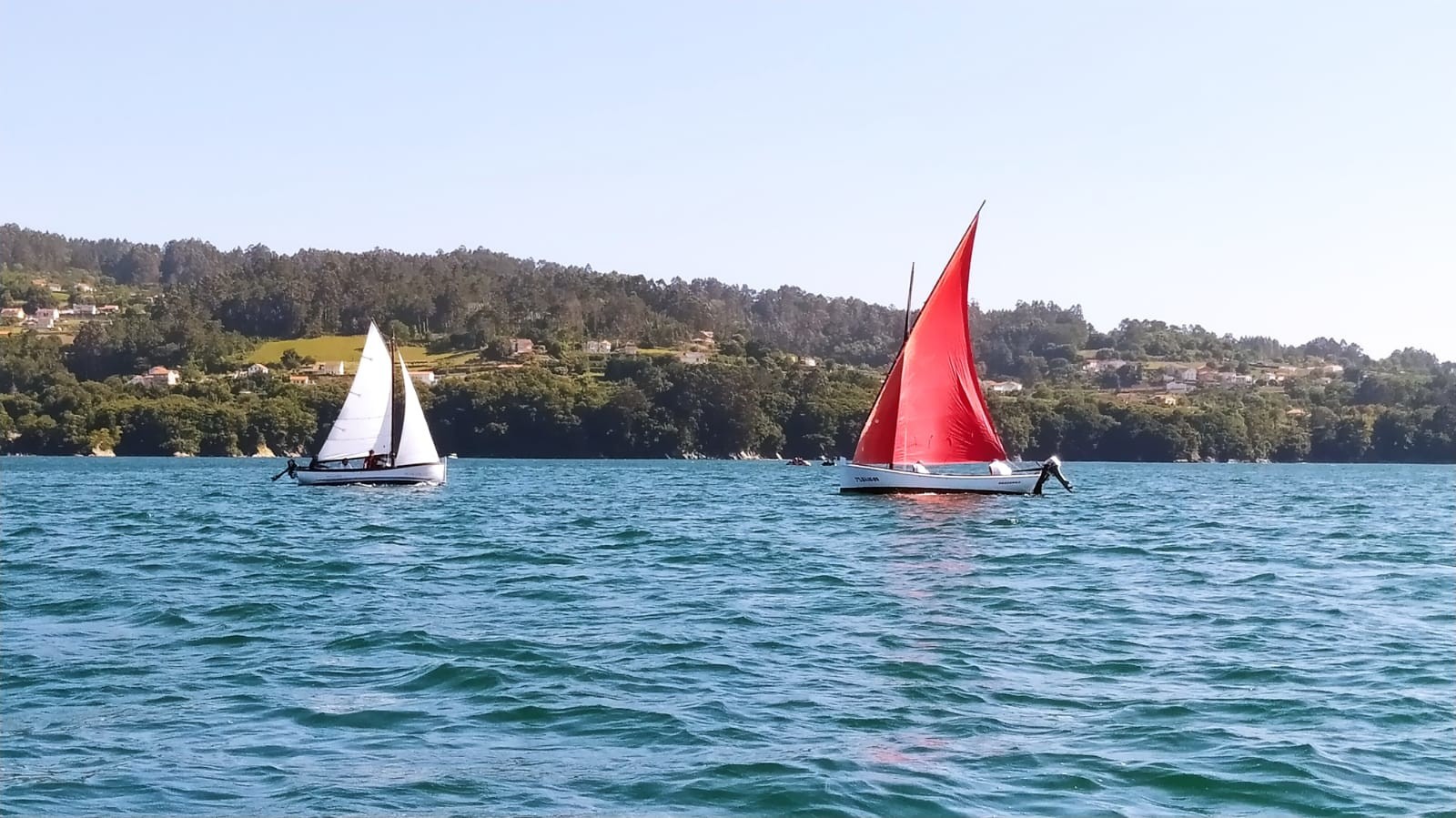 Vela Tradicional 2025 24