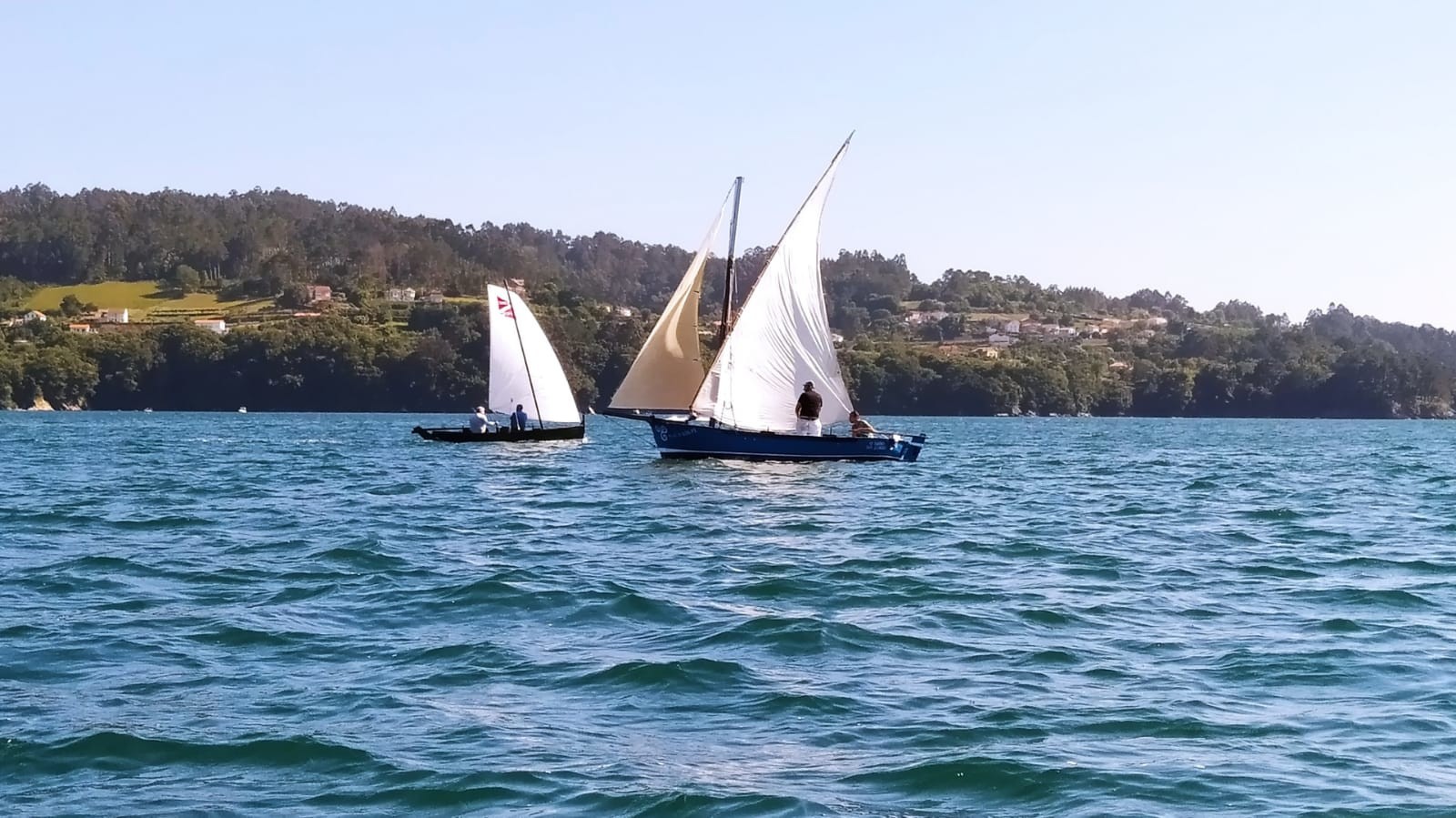 Vela Tradicional 2025 25