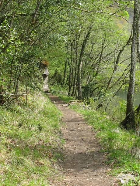 A Capela. Fragas do Eume