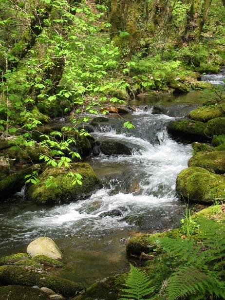 A Capela. Fragas do Eume 1