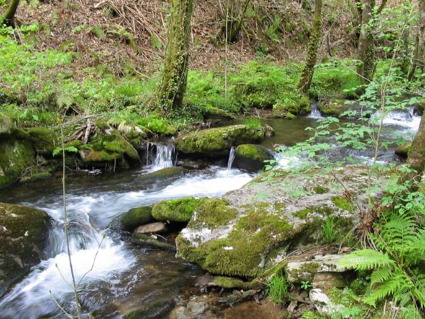 A Capela. Fragas do Eume 2