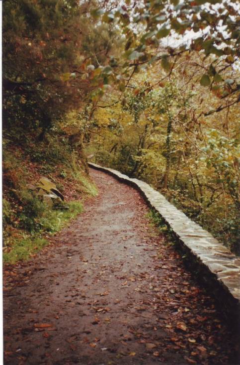 A Capela. Entorno de Caaveiro