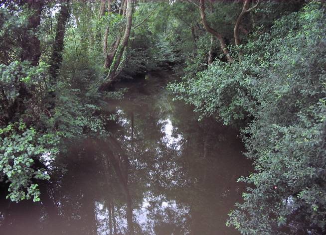 Río Grande de Xuvia