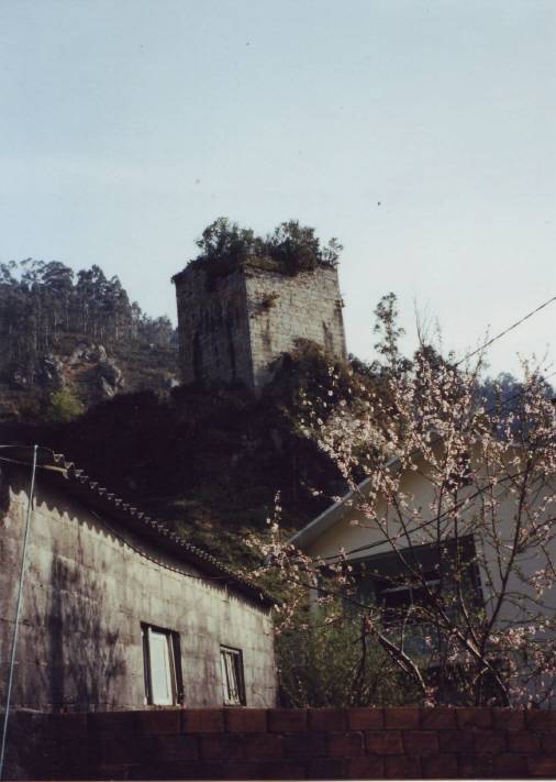 Castelo de Naraío