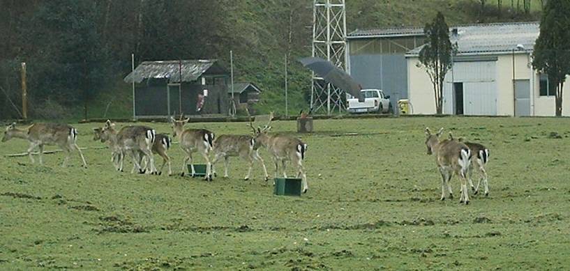 As Pontes. Parque da Central
