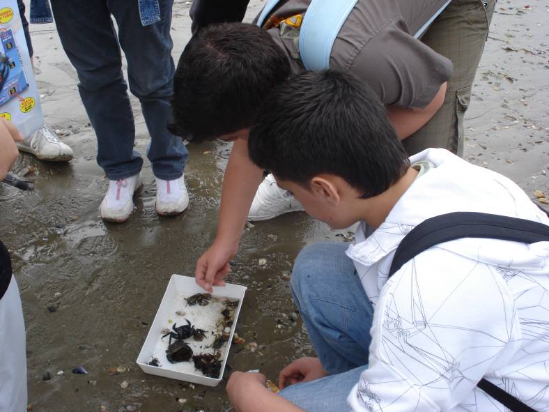 Intenso traballo de investigación en Sabadelle (2008)