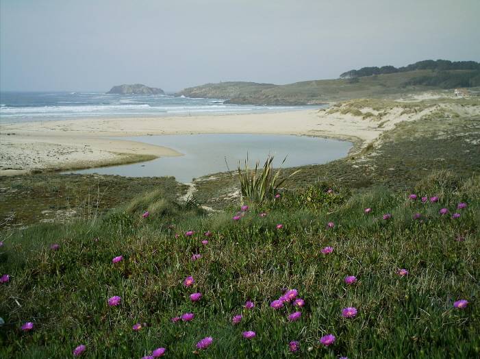 Ferrol. Praia de Doniños