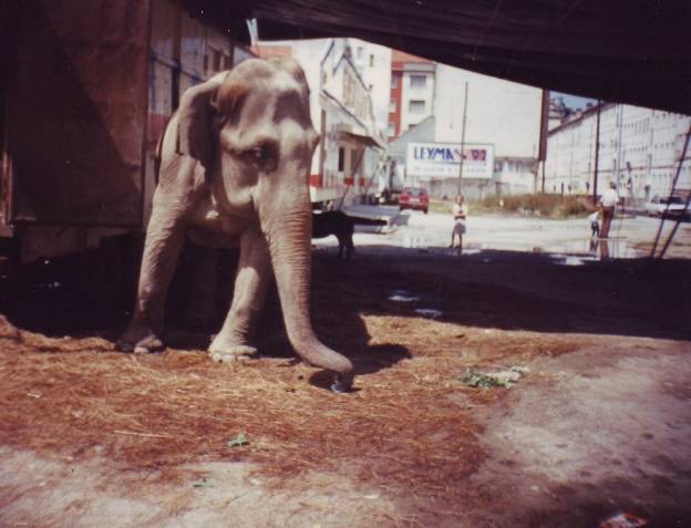 Circo Italiano en Esteiro. 1992