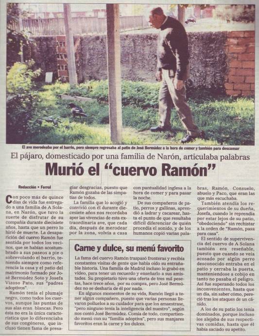 Morreu o corvo "Ramón"