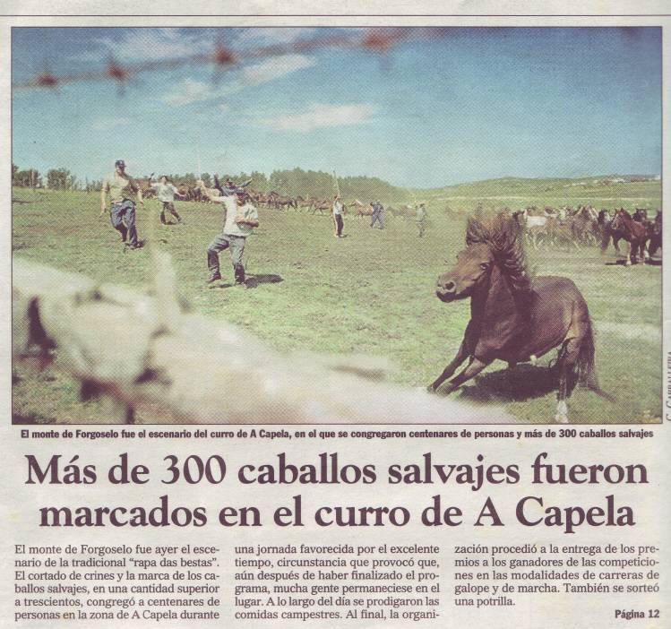 O curro de Forgoselo
