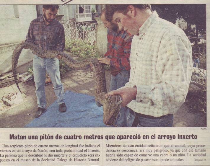 Unha pitón en Narón