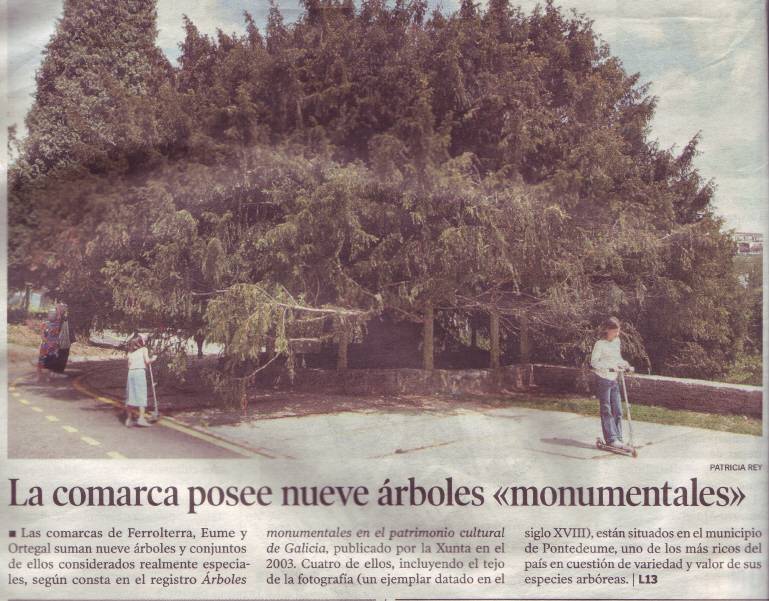 Arbres monumentais