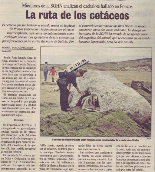 La ruta de los cetáceos