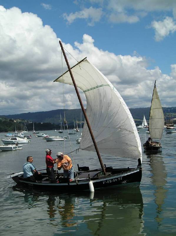 2007 V VelaTradRedes002