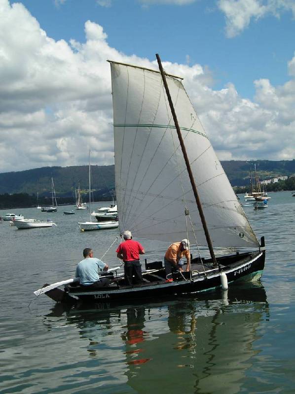 2007 V VelaTradRedes003