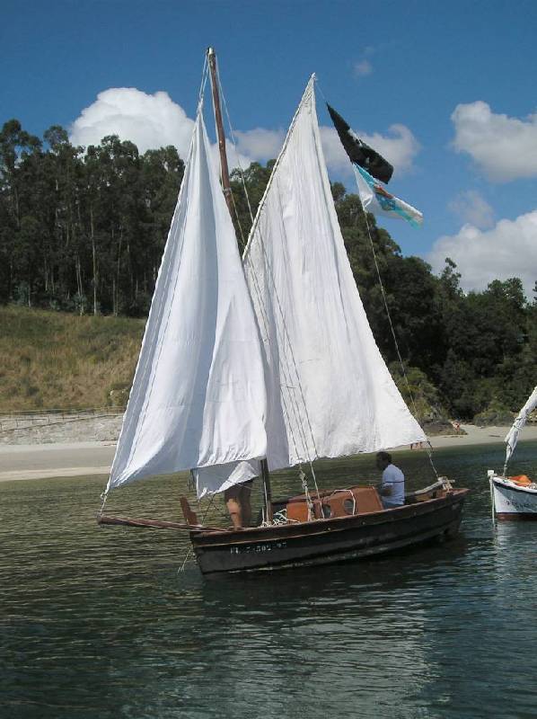 2007 V VelaTradRedes005