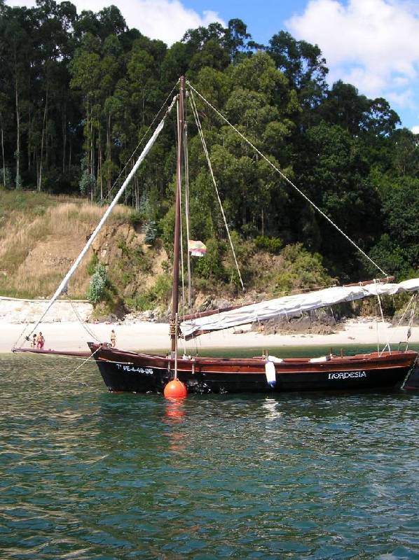 2007 V VelaTradRedes007