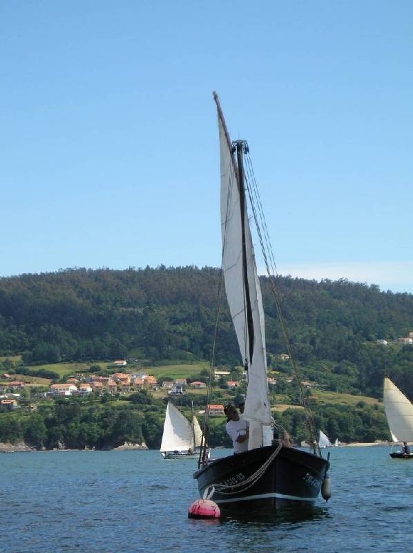 2007 V VelaTradRedes008