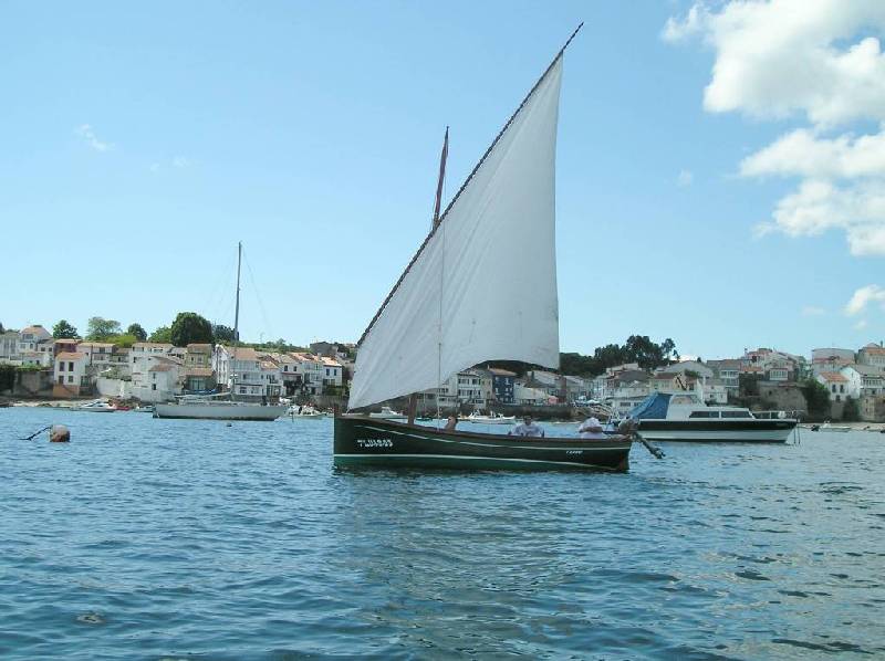 2007 V VelaTradRedes022