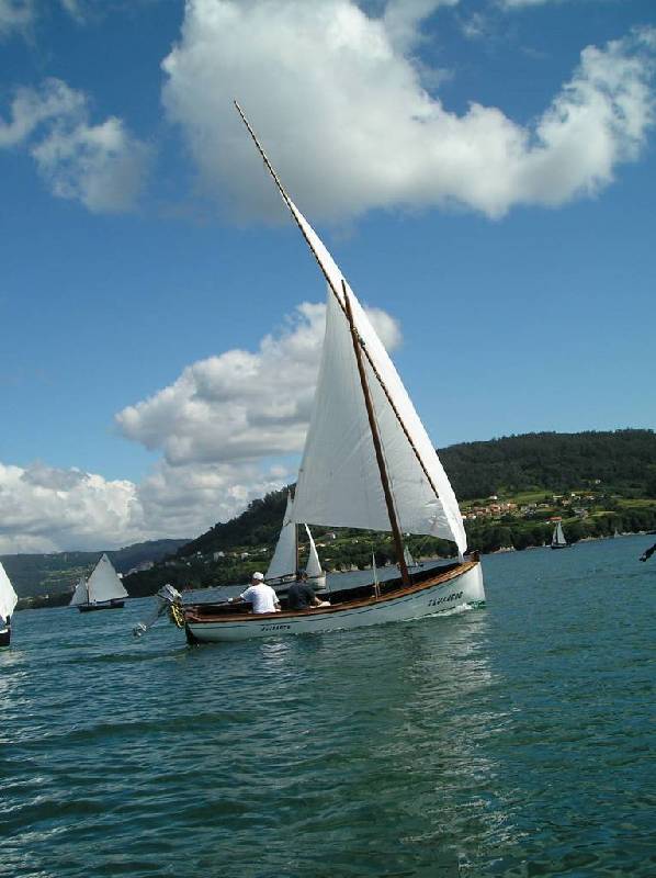 2007 V VelaTradRedes024