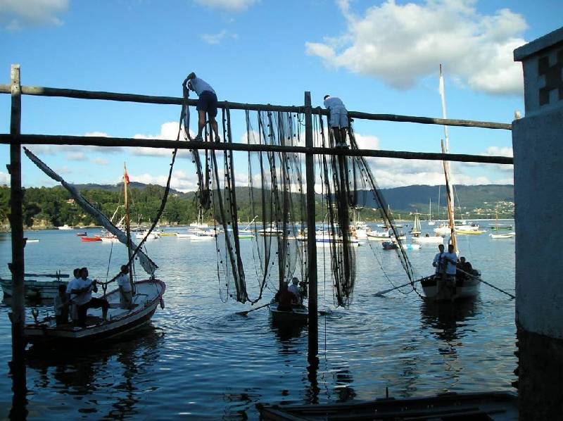 2007 V VelaTradRedes081