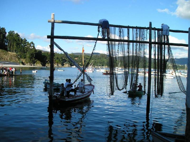 2007 V VelaTradRedes082