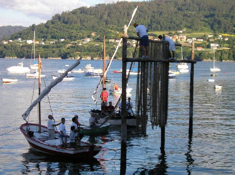 2007 V VelaTradRedes083