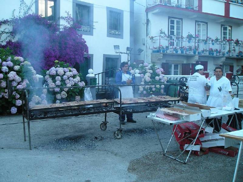 2007 V VelaTradRedes088